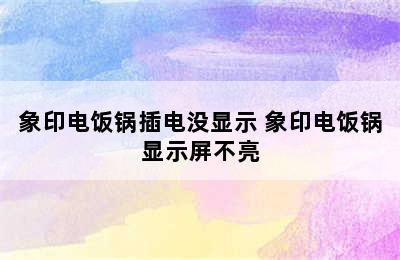 象印电饭锅插电没显示 象印电饭锅显示屏不亮